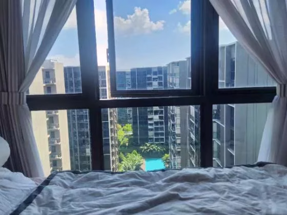 房屋出售 • 西部集水区 •  The Tapestry • S$2200000 • 共管公寓 • 1346ft² / 125m² 照片