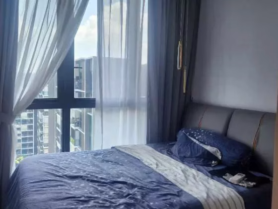 房屋出售 • 西部集水区 •  The Tapestry • S$2200000 • 共管公寓 • 1346ft² / 125m² 照片