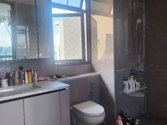 房屋出售 • 西部集水区 •  The Tapestry • S$2200000 • 共管公寓 • 1346ft² / 125m² 照片