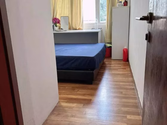 单间出租 • 欧南 •  Sunflower Regency • S$1350 • 住宅公寓 • 主人房 照片