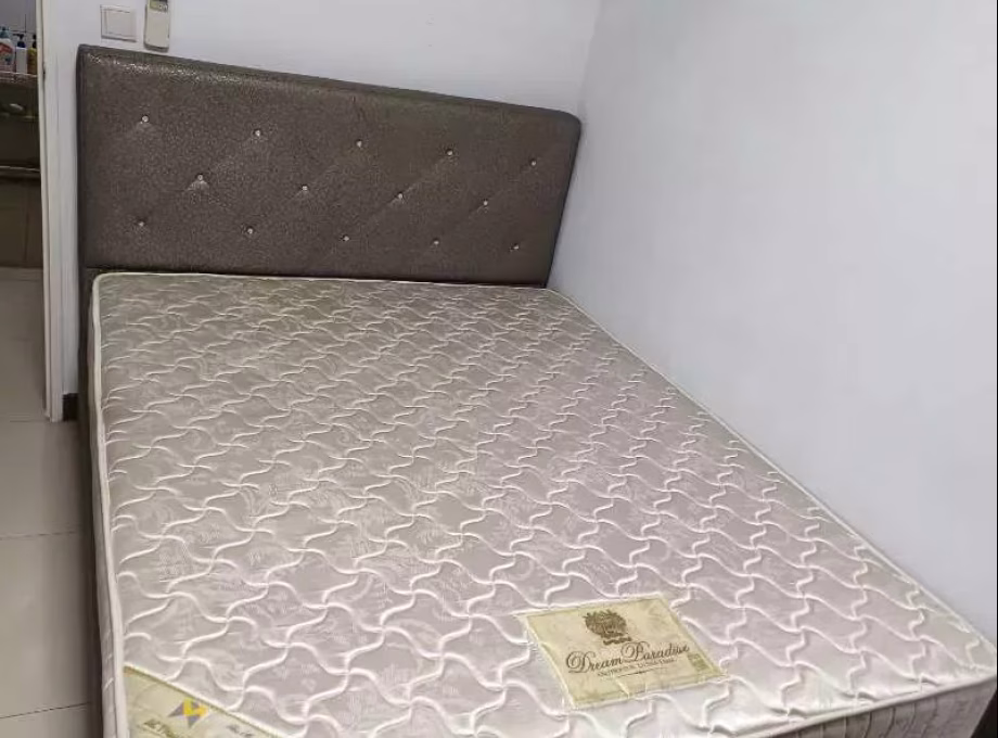 单间出租 • 碧山 • 333B Anchorvale Link • S$800 • 4房(3臥室) • 普通房 照片