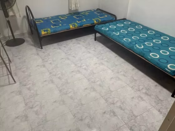 单间出租 • 后港 • 312 Sembawang Drive • S$1200 • 3房(2臥室) • 主人房 照片