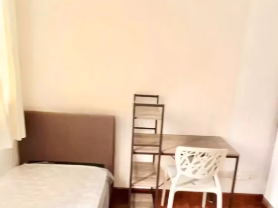 单间出租 • 中央集水区 •  Rosalia Park • S$1200 • 共管公寓 • 普通房 照片