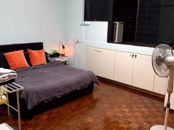 单间出租 • 诺维娜 •  Pine Grove • S$1400 • 住宅公寓 • 普通房 照片