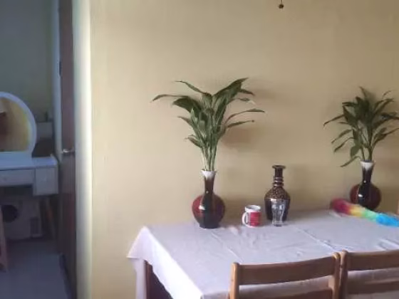 单间出租 • 中央集水区 • 510 Serangoon North Avenue 4 • S$600 • 3房(2臥室) • 佣人房 照片