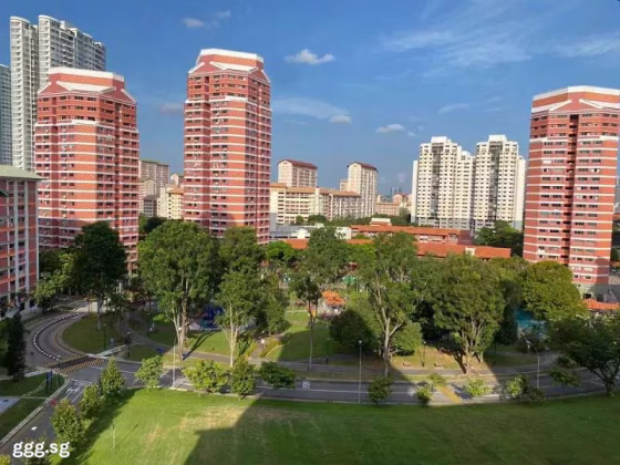 单间出租 • 市中心 • 264 Bishan Street 24 • S$1000 • 4房(3臥室) • 普通房 照片