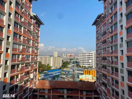 单间出租 • 市中心 • 264 Bishan Street 24 • S$1000 • 4房(3臥室) • 普通房 照片