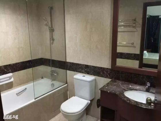 单间出租 • 欧南 •  Sims Residences • S$1600 • 住宅公寓 • 主人房 照片