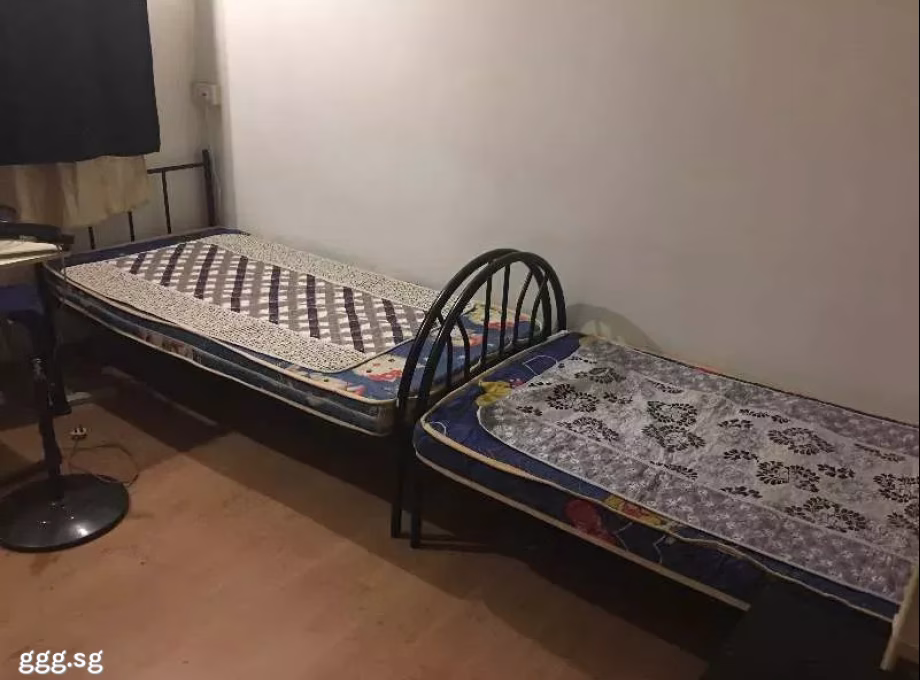 单间出租 • 宏茂桥 • 558 Pasir Ris Street 51 • S$400 • 3房(2臥室) • 床位出租 照片