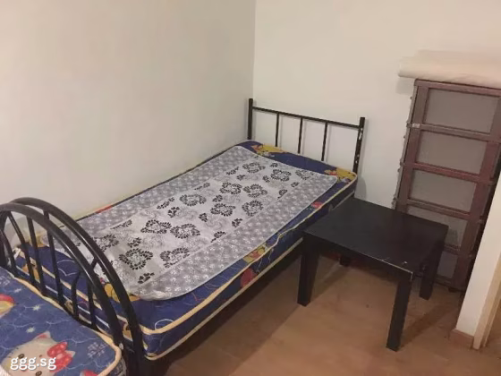 单间出租 • 宏茂桥 • 558 Pasir Ris Street 51 • S$400 • 3房(2臥室) • 床位出租 照片