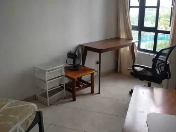 单间出租 • 中央集水区 •  Chiltern Park • S$1250 • 共管公寓 • 普通房 照片