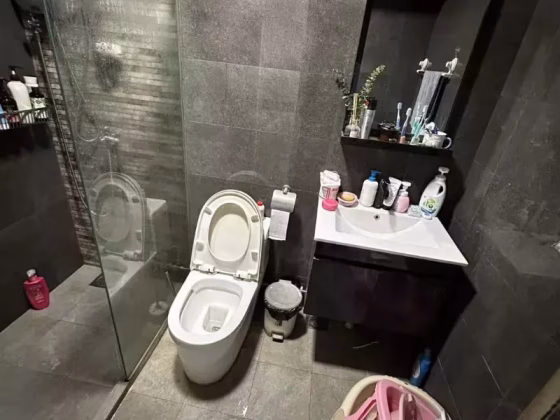单间出租 • 碧山 • 230 Compassvale Walk • S$500 • 3房(2臥室) • 主人房 照片
