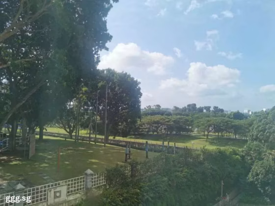单间出租 • 淡滨尼 •  The Tropica • S$598 • 住宅公寓 • 主人房 照片