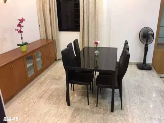 单间出租 • 纽顿 •  Ampas Apartment • S$1100 • 住宅公寓 • 普通房 照片