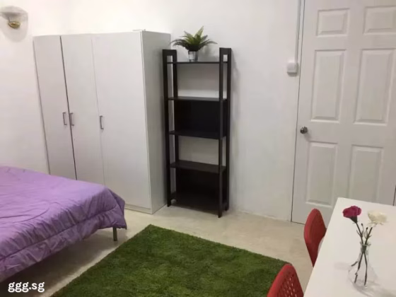 单间出租 • 纽顿 •  Ampas Apartment • S$1100 • 住宅公寓 • 普通房 照片