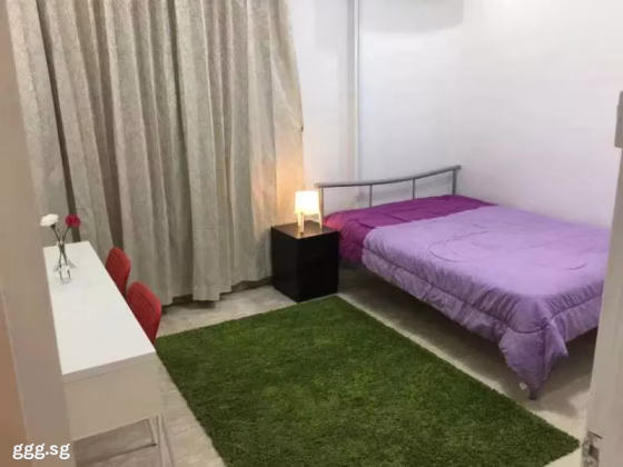 单间出租 • 纽顿 •  Ampas Apartment • S$1100 • 住宅公寓 • 普通房 照片