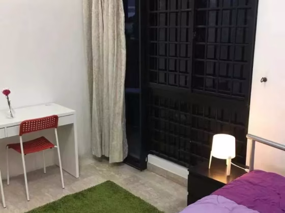 单间出租 • 纽顿 •  Ampas Apartment • S$1100 • 住宅公寓 • 普通房 照片
