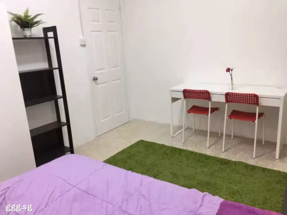 单间出租 • 纽顿 •  Ampas Apartment • S$1100 • 住宅公寓 • 普通房 照片