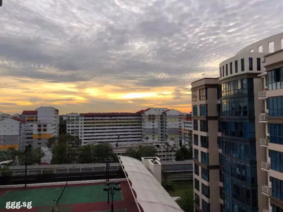 单间出租 • 芽笼 •  Regent Grove • S$1300 • 住宅公寓 • 普通房 照片