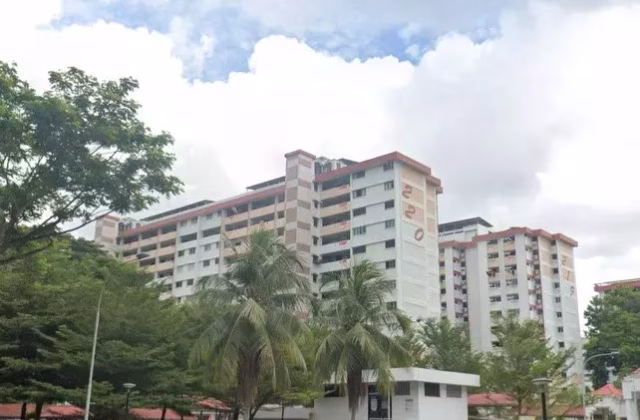 整套出租 • 乌节 • 220 Ang Mo Kio Avenue 1 • S$3100 • 3房(2臥室) • 