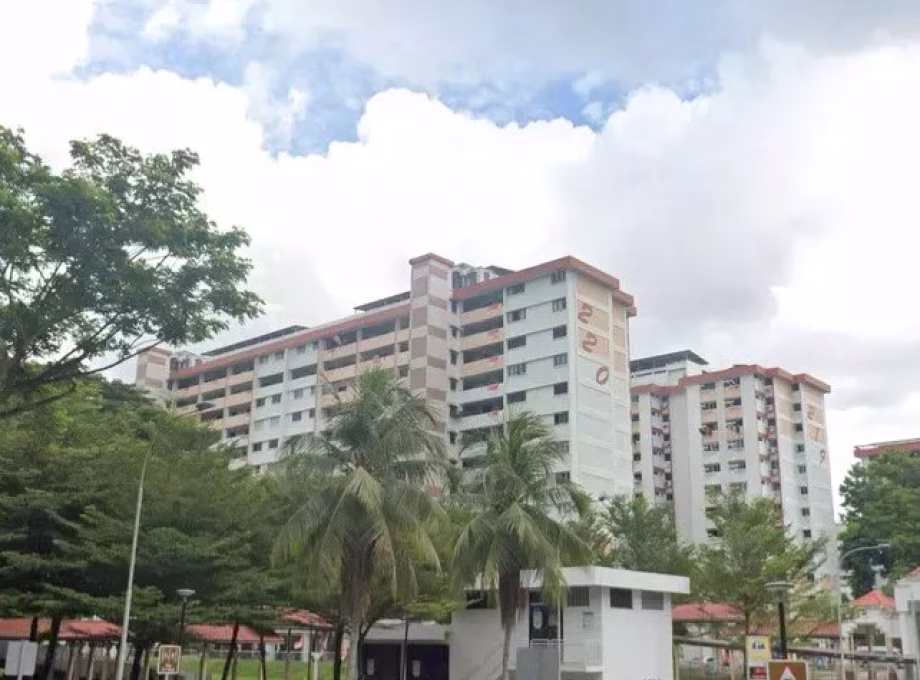 整套出租 • 乌节 • 220 Ang Mo Kio Avenue 1 • S$3100 • 3房(2臥室) •  照片