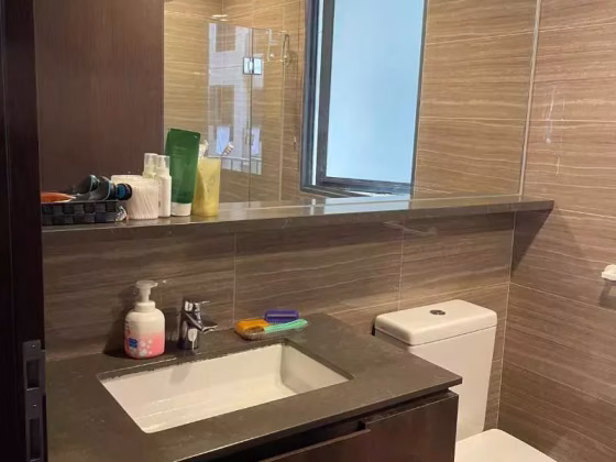 单间出租 • 后港 •  The Brownstone • S$1000 • 共管公寓 • 普通房 照片