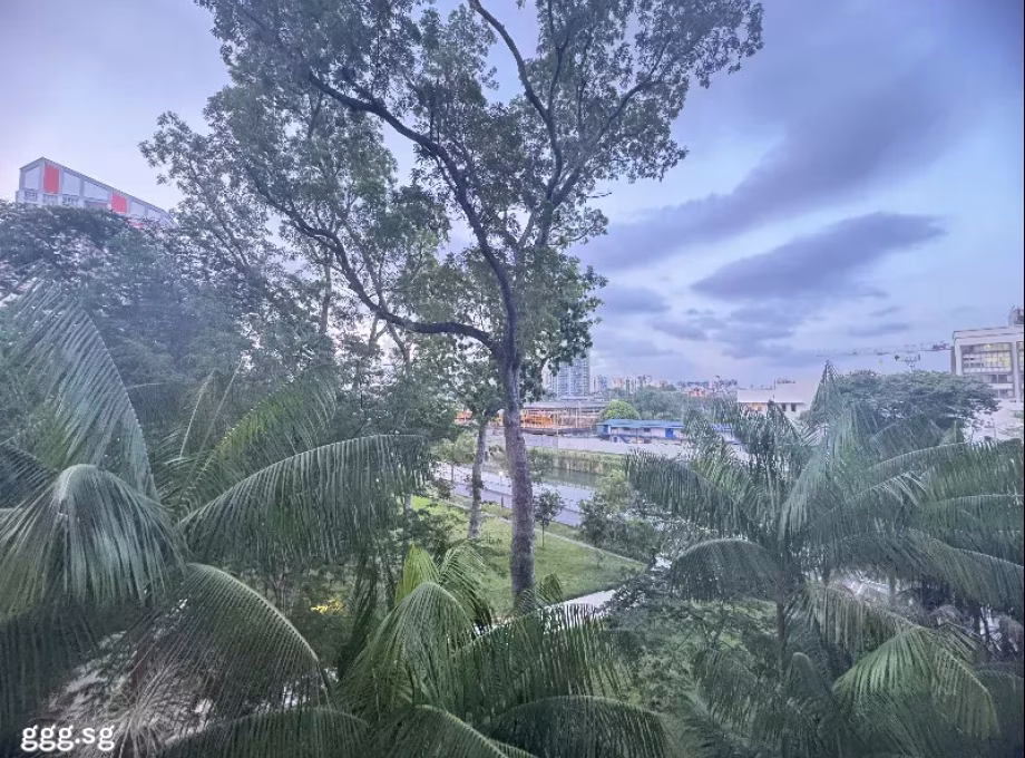 房屋出售 • 市中心 • 157 Bishan Street 13 • S$950000 • 5房(4臥室) • 1410ft² / 130m² 照片