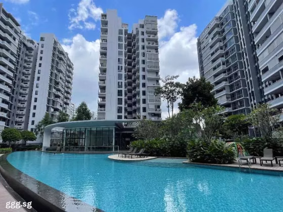 整套出租 • 樟宜 •  Parc Centros • S$3000 • 住宅公寓 • 474ft² / 44m² 照片