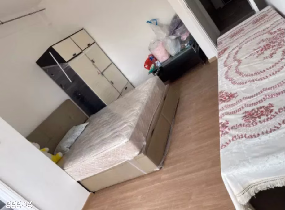 单间出租 • 欧南 •  Canberlin Apartments • S$1600 • 住宅公寓 • 主人房 照片