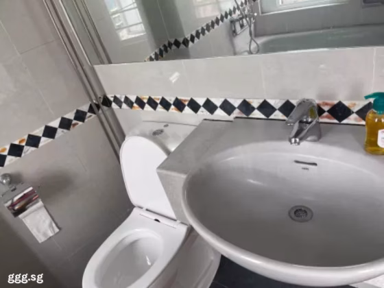 单间出租 • 欧南 •  Canberlin Apartments • S$1600 • 住宅公寓 • 主人房 照片