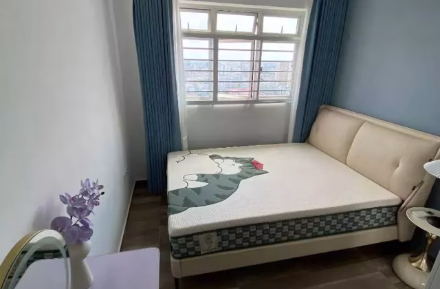 单间出租 • 纽顿 • 78 Lorong Limau • S$1400 • 3房(2臥室) • 普通房