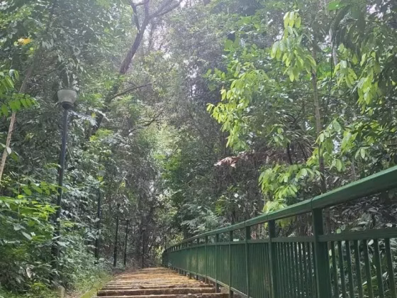 单间出租 • 金文泰 • 104B Depot Road • S$1200 • 4房(3臥室) • 普通房 照片