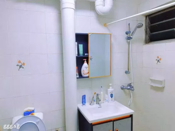 单间出租 • 武吉知马 •  Neptune Court • S$1000 • 住宅公寓 • 普通房 照片