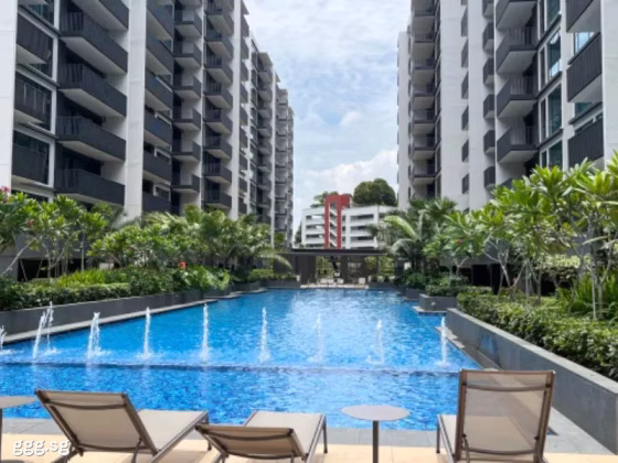 单间出租 • 西部集水区 •  Treasure At Tampines • S$1400 • 住宅公寓 • 普通房 照片