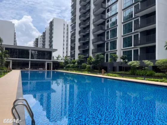 单间出租 • 西部集水区 •  Treasure At Tampines • S$1400 • 住宅公寓 • 普通房 照片