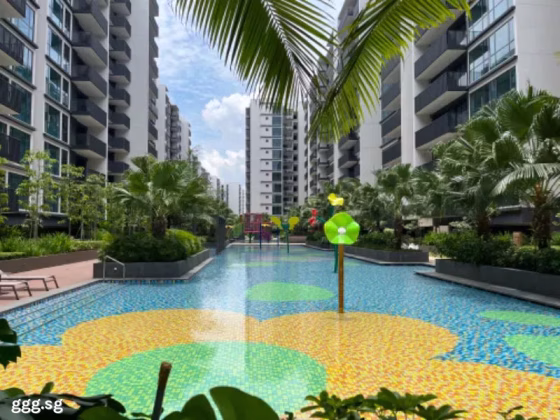 整套出租 • 西部集水区 •  Treasure At Tampines • S$3800 • 住宅公寓 • 581ft² / 53m² 照片