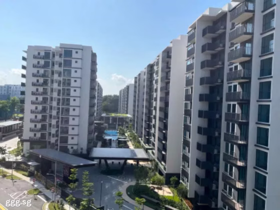 整套出租 • 西部集水区 •  Treasure At Tampines • S$3800 • 住宅公寓 • 581ft² / 53m² 照片
