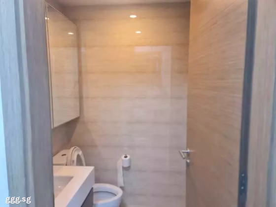 整套出租 • 宏茂桥 •  The Palette • S$3200 • 共管公寓 • 750ft² / 69m² 照片