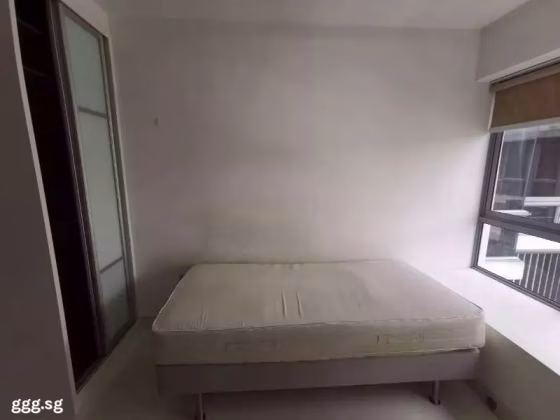 整套出租 • 蔡厝港 •  Alexis • S$5000 • 住宅公寓 • 1000ft² / 92m² 照片