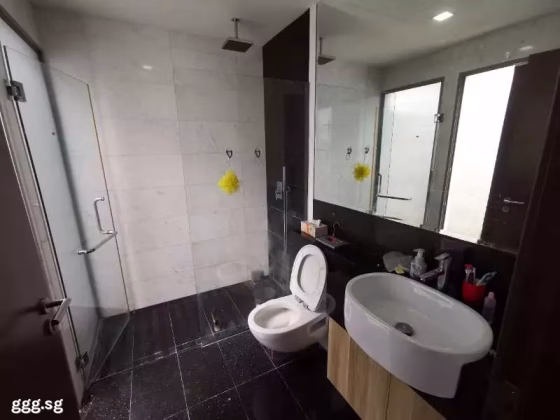 整套出租 • 蔡厝港 •  Alexis • S$5000 • 住宅公寓 • 1000ft² / 92m² 照片