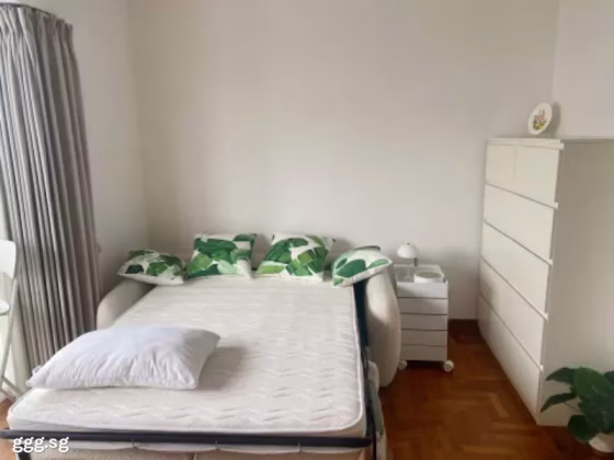 单间出租 • 武吉知马 •  The Bayshore • S$2000 • 住宅公寓 • 主人房 照片