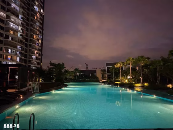 单间出租 • 碧山 •  High Park Residences • S$1000 • 住宅公寓 • 佣人房 照片