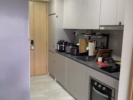 单间出租 • 碧山 •  High Park Residences • S$1000 • 住宅公寓 • 佣人房 照片