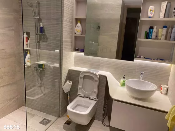 单间出租 • 碧山 •  High Park Residences • S$1000 • 住宅公寓 • 佣人房 照片