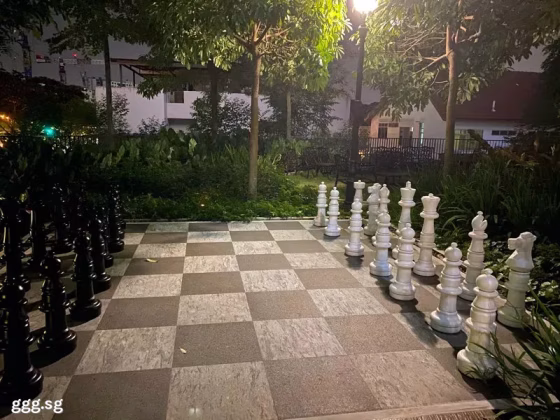 单间出租 • 碧山 •  High Park Residences • S$1000 • 住宅公寓 • 佣人房 照片