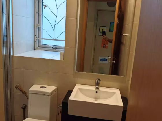 整套出租 • 新邦 •  Sunshine Regency • S$2700 • 住宅公寓 • 451ft² / 41m² 照片