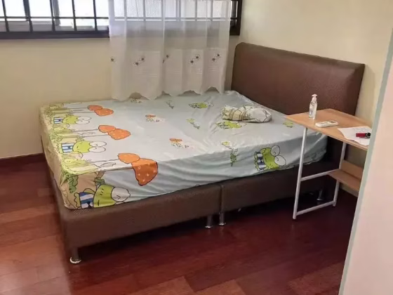 单间出租 • 诺维娜 •  Bukit Regency • S$1200 • 共管公寓 • 普通房 照片
