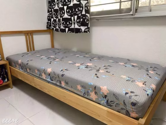 单间出租 • 西部集水区 • 874A Tampines Street 84 • S$950 • 执行组屋 • 普通房 照片