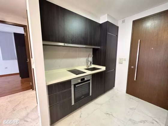 单间出租 • 纽顿 •  Novena Suites • S$3200 • 住宅公寓 • 主人房 照片