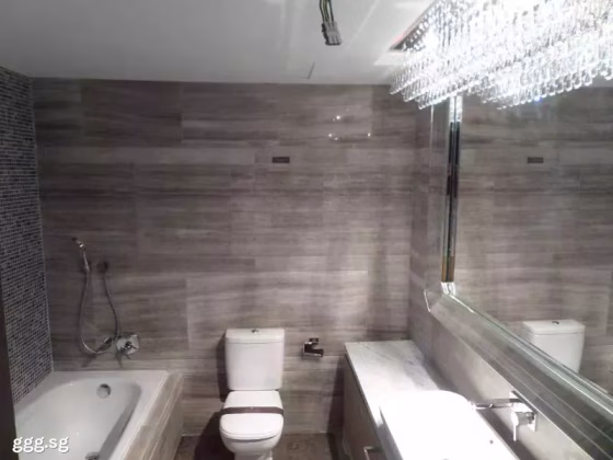 房屋出售 • 市中心 •  Thomson Grand • S$4450000 • 聚落式排屋 • 5317ft² / 493m² 照片